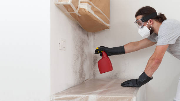 Professional Black Mold Remediation technician working in Tracys Landing, MD